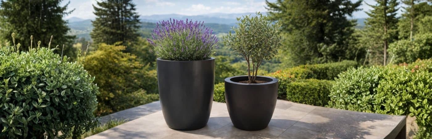 Italio Planters Hero 3